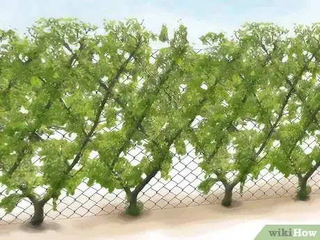 Imagen titulada Hide a Fence Step 8