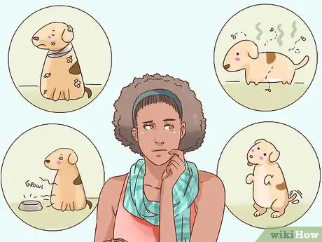 Imagen titulada Cope With Having a Dog Put Down Step 2