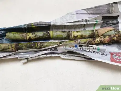 Imagen titulada Eat a Sugar Cane Step 2