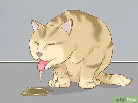 Imagen titulada Diagnose and Treat Anal Gland Disease in Cats Step 4