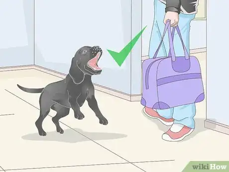 Imagen titulada Get a Urine Sample from a Male Dog Step 1