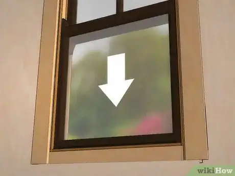 Imagen titulada Get Spiders Out of Your House Without Killing Them Step 6