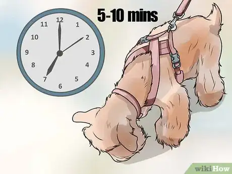 Imagen titulada Put on a Puppy Harness Step 16