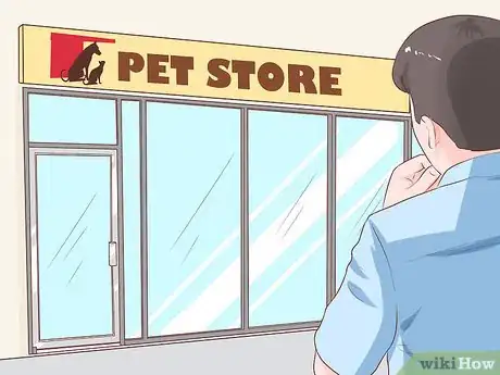 Imagen titulada Get Another Dog After a Pet Dog's Death Step 10