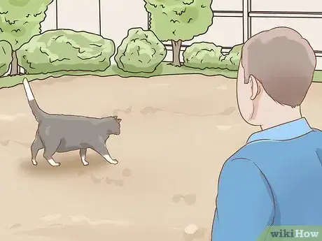 Imagen titulada Prevent Worms in Cats Step 1