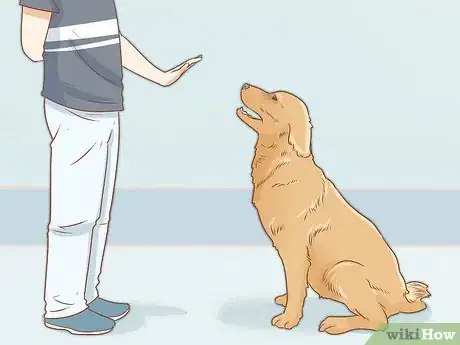 Imagen titulada Train Your Service Dog Without a Professional Trainer Step 8