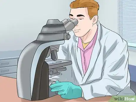 Imagen titulada Treat Anemia in Dogs Step 5