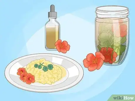 Imagen titulada Use Nasturtiums in Food Step 6
