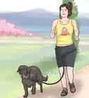 evitar que tu perro se coma tus plantas
