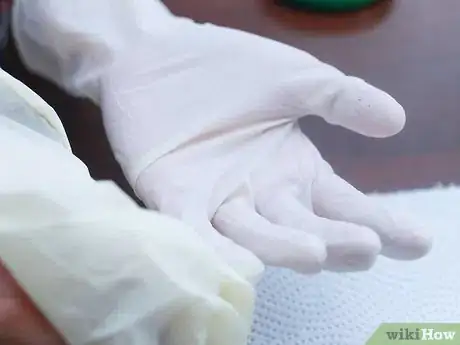 Imagen titulada Get Rid of Wasps in Your House Step 11
