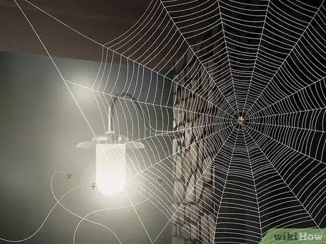 Imagen titulada Identify a Barn Spider Step 12