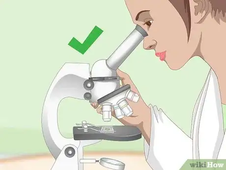 Imagen titulada Use a Light Microscope Step 10