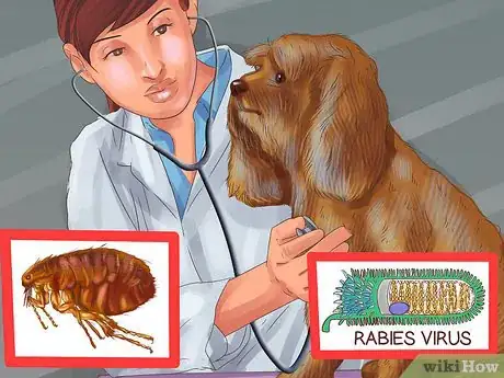 Imagen titulada Be a Responsible Dog Owner Step 6