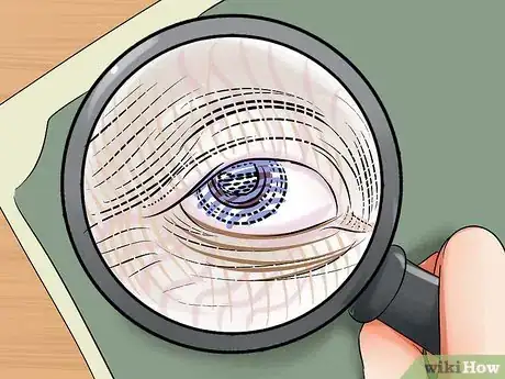 Imagen titulada Identify Prints Step 15