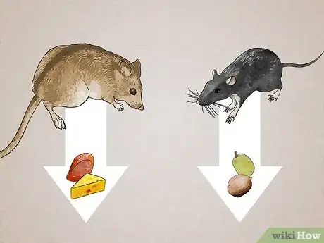 Imagen titulada Attract Rats Step 13