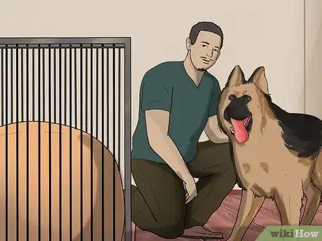 Imagen titulada Introduce a New Dog to Your House and Other Dogs Step 16