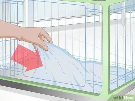 Imagen titulada Get Your Puppy To Sleep in Its Own Bed Step 11