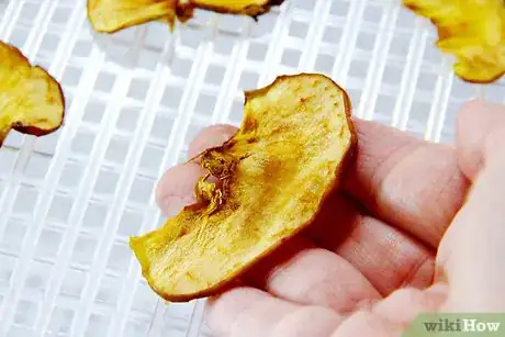 Imagen titulada Make Dried Fruit Step 16