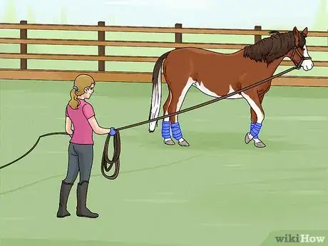 Imagen titulada Lunge a Horse Step 7
