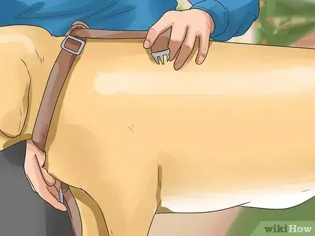 Imagen titulada Put on a Puppy Harness Step 11