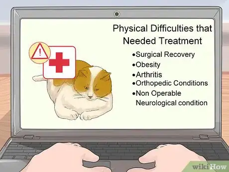 Imagen titulada Treat a Cat with Physical Therapy Step 8