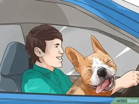 Imagen titulada Adopt a Dog Step 10