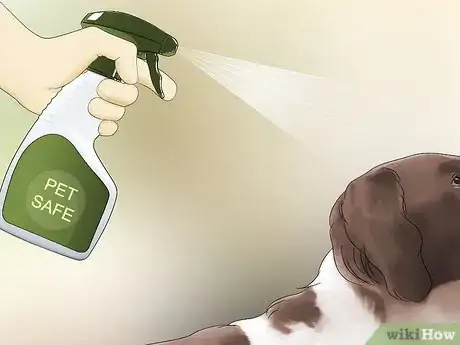 Imagen titulada Keep Flies Off Dogs Step 13