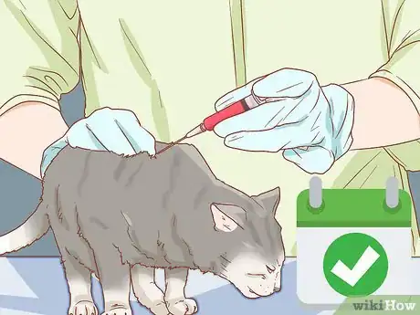 Imagen titulada Prevent Worms in Cats Step 2