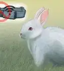 rastrear una mascota con un microchip