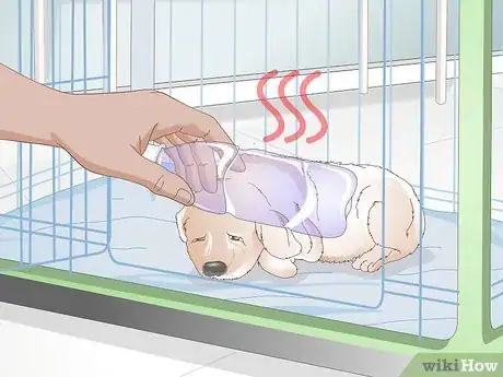 Imagen titulada Get Your Puppy To Sleep in Its Own Bed Step 12