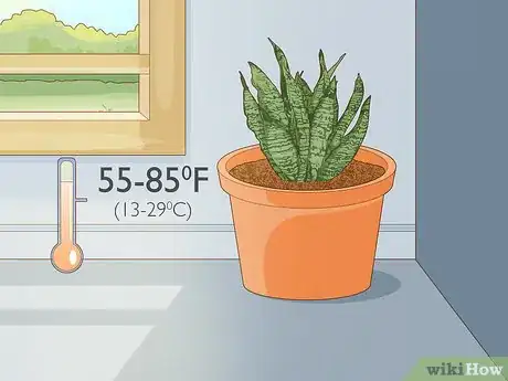 Imagen titulada Care for a Sansevieria or Snake Plant Step 7