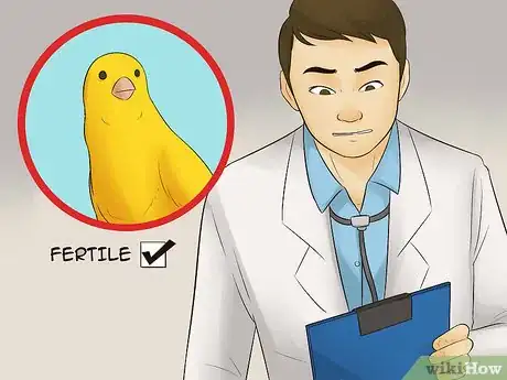 Imagen titulada Become a Breeder Step 11
