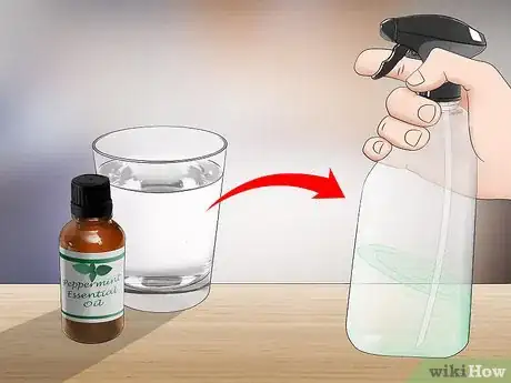 Imagen titulada Control Fleas by Using Peppermint Step 8