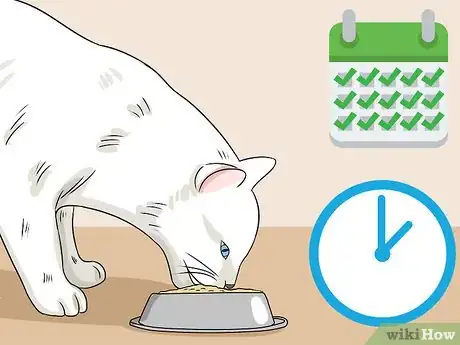 Imagen titulada Feed a Diabetic Cat Step 8