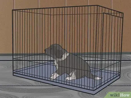 Imagen titulada Train Border Collies Step 19