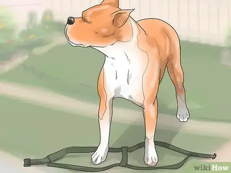 Imagen titulada Put on a Puppy Harness Step 10