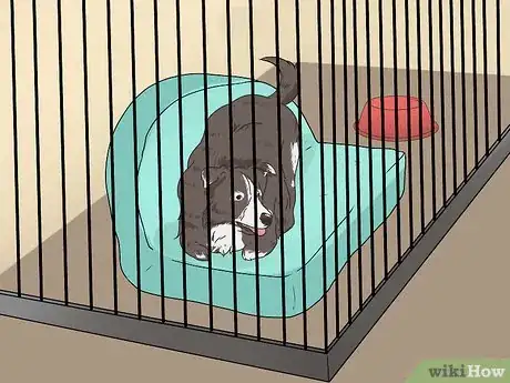 Imagen titulada Introduce a New Dog to Your House and Other Dogs Step 17