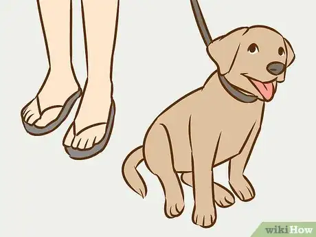 Imagen titulada Persuade Your Parents to Get a Dog Step 14