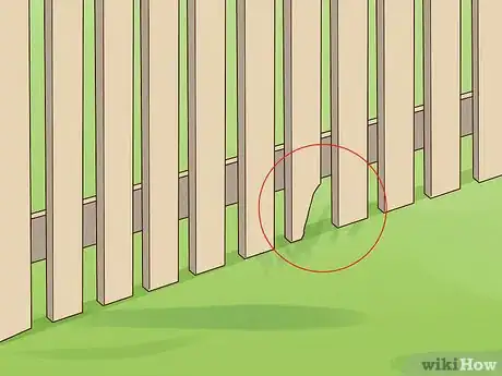Imagen titulada Find a Lost Dog Step 30