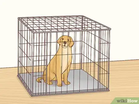 Imagen titulada Keep Pets off the Furniture Step 18
