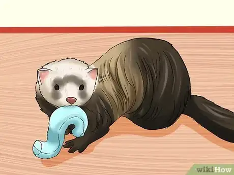 Imagen titulada Train a Ferret Not to Bite Step 3