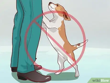 Imagen titulada Train Beagles Step 8