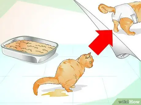 Imagen titulada Comfort a Dying Cat Step 10