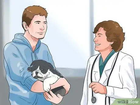 Imagen titulada Treat Anemia in Dogs Step 3