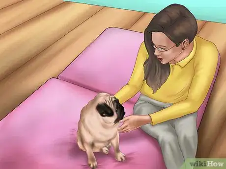 Imagen titulada Get Your Dog to Sleep Step 6