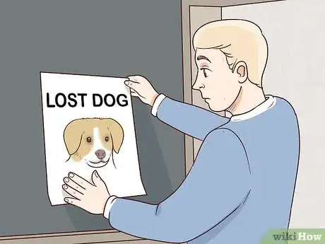 Imagen titulada Find a Lost Dog Step 23