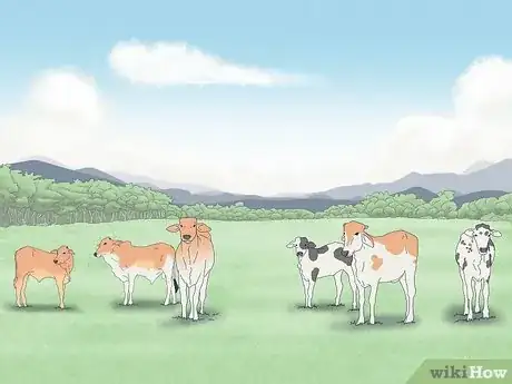 Imagen titulada Start a Ranch Step 7