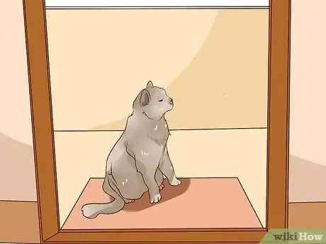 Imagen titulada Prevent Cat Allergies Step 9