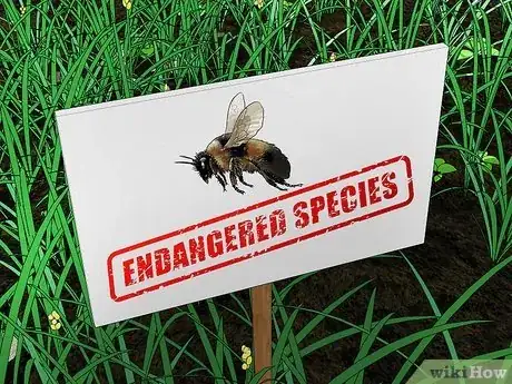 Imagen titulada Get Rid of Bumble Bees Step 10