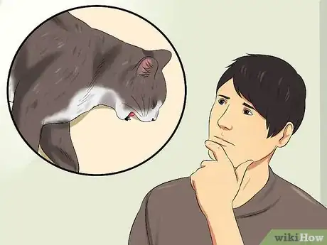 Imagen titulada Treat Feline Panleukopenia (Distemper) Step 5